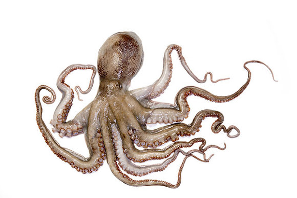 A&K Group 웹사이트에 오신 여러분을 환영합니다.